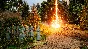 ✅King´s Bounty II Lord´s Edition ⭐Steam\RegionFree\Key⭐