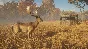 theHunter Call of the Wild - Tents & Ground Blinds DLC