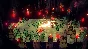 Cult of the Lamb (Steam Gift Россия) 🔥