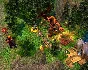 Heroes of Might and Magic® V: Tribes of the East ⚡️АВТО