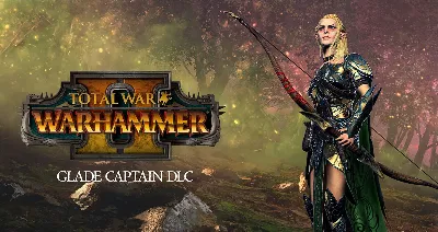 Total War Warhammer II Дополнение Капитан полян DLC 🔑