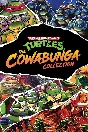 Teenage Mutant Ninja Turtles Cowabunga Xbox activation