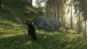 theHunter Call of the Wild - Bloodhound (DLC) STEAM KEY