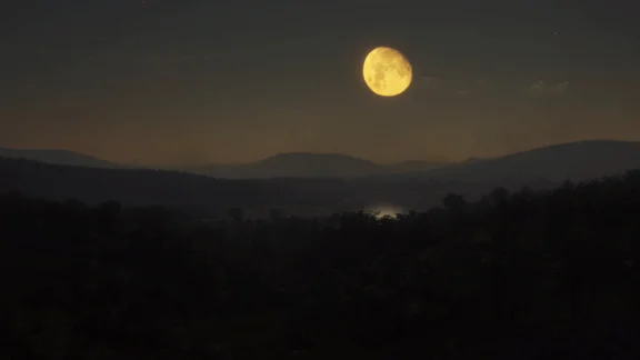 theHunter Call of the Wild - Parque Fernando STEAM КЛЮЧ