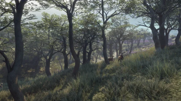 theHunter Call of the Wild - Parque Fernando STEAM КЛЮЧ