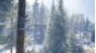 theHunter Call of the Wild - Treestand & Tripod Pack🔑