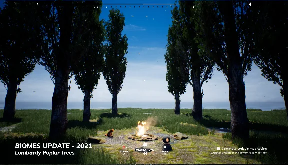 PLAYNE : The Meditation Game (Steam key / Region Free)