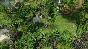 SpellForce 3: Fallen God 💎STEAM KEY СТИМ КЛЮЧ ЛИЦЕНЗИЯ