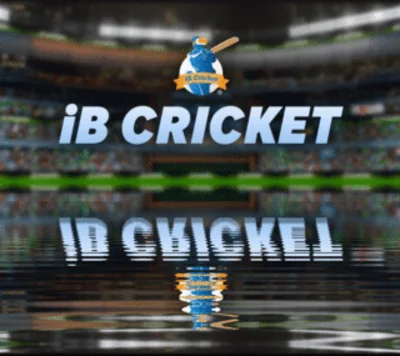 ✅iB Cricket (Oculus Quest 2\Pro) ⭐VR\RegionFree\Gift⭐