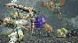 MONSTER HUNTER RISE XBOX ONE & X|S & WIN10,11🔑KEY