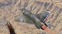 🔷War Thunder- Dassault Milan Xbox Bundle Activation+🎁