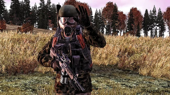 DayZ ⭐Steam⭐ GLOBAL🔑 +0%