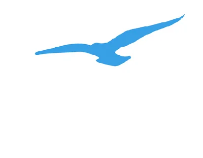 Charter LLC "Smart Falcon" | 2022 | almira