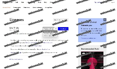Ableton Live 12 Lite (Лицензионный ключ)