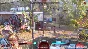 Predator: Hunting Grounds (STEAM key) Turkey + Gift