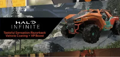 Halo Infinite - Tasteful Sensation Vehicle Coating +🎁