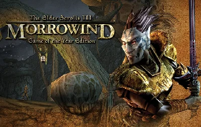 🗡️The Elder Scrolls III: Morrowind GOTY🗡️ GOG Account