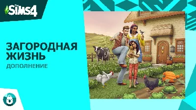 The Sims™ 4 DLC  Dine out ⭐ STEAM ⭐