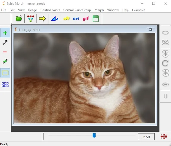 Tutorial: Morphing with Sqirlz Morph