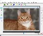 Tutorial: Morphing with Sqirlz Morph