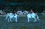 [EU] WoW in-game Mount: Небесный скакун