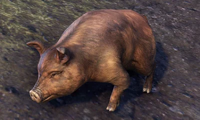 🔥Bristlegut Piglet (pet) +15 days ESO Plus + 750 Crown
