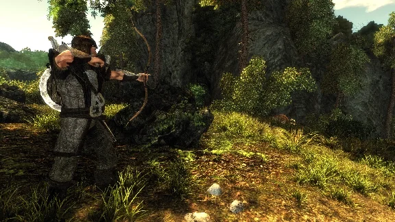 Risen (steam key)