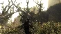 Risen (steam key)