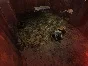Still Life 2 (steam key)