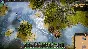 Fantasy General II Evolution DLC (steam key)