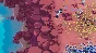Plan B: Terraform STEAM•RU ⚡️АВТОДОСТАВКА 💳0%