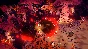 Cult of the Lamb: Cultist Edition XBOX ONE & X/S🔑КЛЮЧ