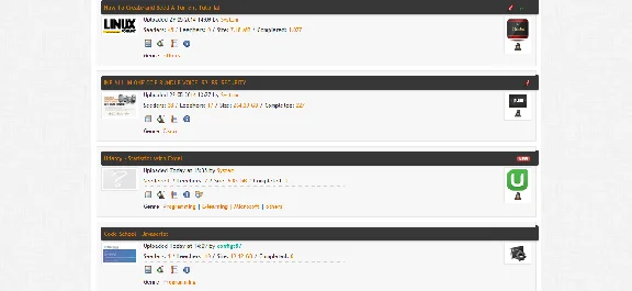 🔥LearnFlakes.Net: Account with buffer💎