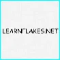 🔥LearnFlakes.Net: Account with buffer💎