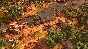 ⚔️ Age of Empires III: DE The African Royals Steam Gift