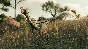 ⭐ Jurassic World Evolution 2: Dominion Malta Expansion