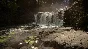 Sons Of The Forest * RU/KZ/СНГ/TR/AR * STEAM 🚀 АВТО