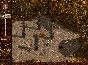 Konung 2  - Steam key - Region Free 🃏