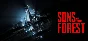 Sons Of The Forest Steam Gift Russia