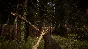 Sons Of The Forest (Steam Gift RU) 🔥