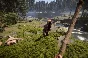 Sons Of The Forest ⭐ STEAM ⭐