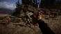 Sons Of The Forest |ONLINE|STEAM| (Account rent 7 day+)