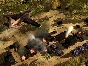 Act of War: High Treason 💎 АВТОДОСТАВКА STEAM РОССИЯ