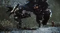Evolve Stage 2 (Steam KEY ROW Region Free)