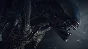 ALIEN: ISOLATION XBOX ONE & SERIES X|S🔑KEY