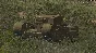 Tank Warfare Longstop Hill DLC (steam key)