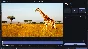 Movavi Video Suite 2023 Steam Edition (Steam Gift RU)