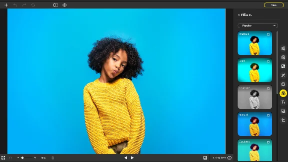Movavi Photo Editor 23 (Steam Gift RU) 🔥