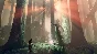 Kingdoms Rise (Steam Gift Region Free / ROW)