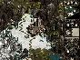 ✅Disciples II Gallean´s Return (3in1)⭐Steam\Global\Key⭐